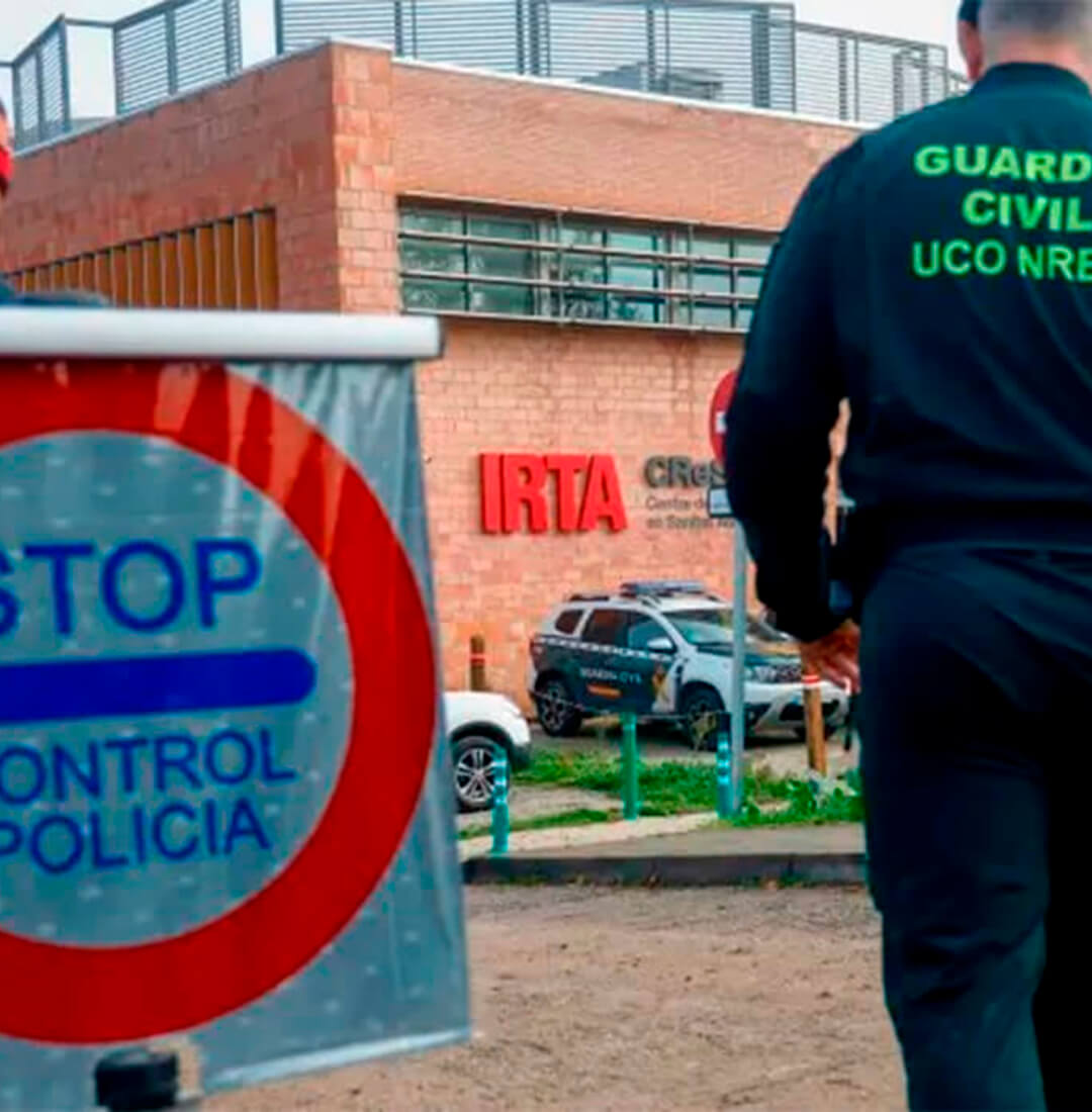 La Generalitat descarta que el virus de la peste porcina saliera del laboratorio del IRTA-CReSA y se vuelve a abrir las dudas sobre su origen