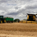 Estabilidad en un mercado cerealista en la lonja de León que a la vez se ha instalado en la apatía: todos repiten salvo la cebada, que pierde un euro
