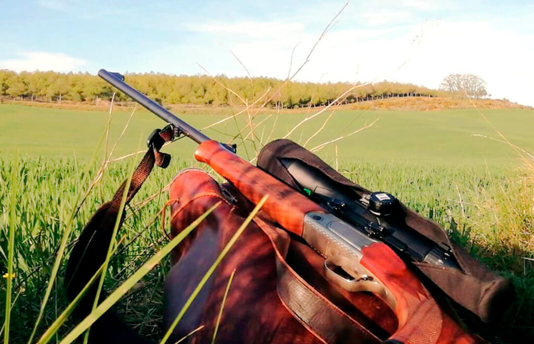 La Junta de Castilla y León obliga al trámite electrónico de los planes cinegéticos, que estarán vigentes cinco temporadas