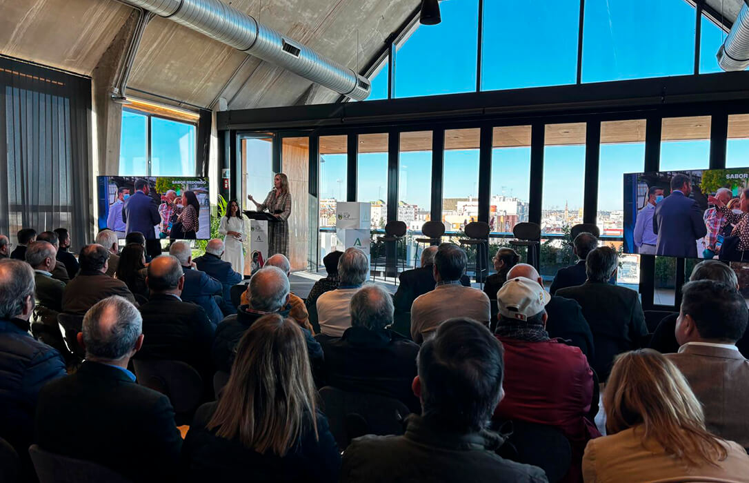 Las IGP Aceitunas Manzanilla y Gordal de Sevilla reconoce el esfuerzo del sector en los últimos cinco años, decisivos para la aceituna sevillana