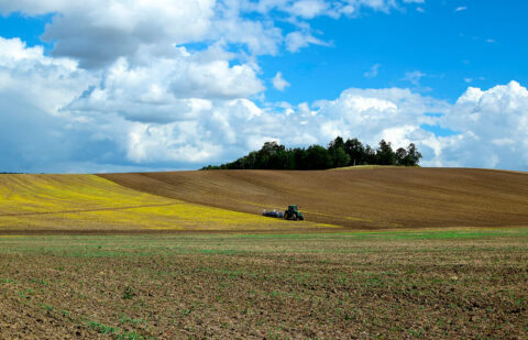 La renta agraria alcanza los 41.262 millones de euros en 2025, un 13% más que el año anterior según los datos del Ministerio