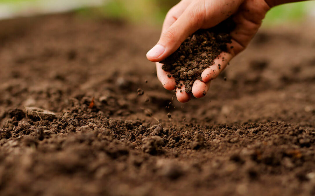Euskadi se adelanta a la futura Ley de Suelos de la Unión Europea con una red de monitorización pionera con análisis de ADN