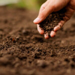 Euskadi se adelanta a la futura Ley de Suelos de la Unión Europea con una red de monitorización pionera con análisis de ADN