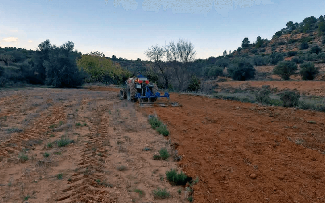 Los cazadores de la Comunitat Valenciana realizan actuaciones de mejora en el medio natural por valor de 16 millones de euros este 2025