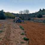 Los cazadores de la Comunitat Valenciana realizan actuaciones de mejora en el medio natural por valor de 16 millones de euros este 2025