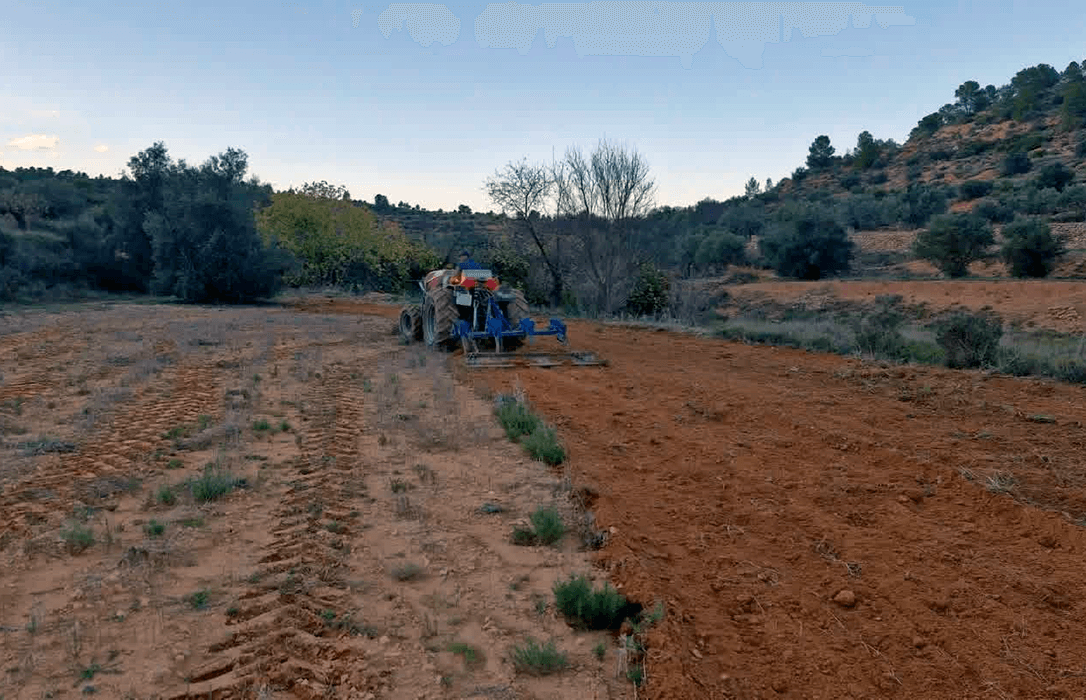 Los cazadores de la Comunitat Valenciana realizan actuaciones de mejora en el medio natural por valor de 16 millones de euros este 2025