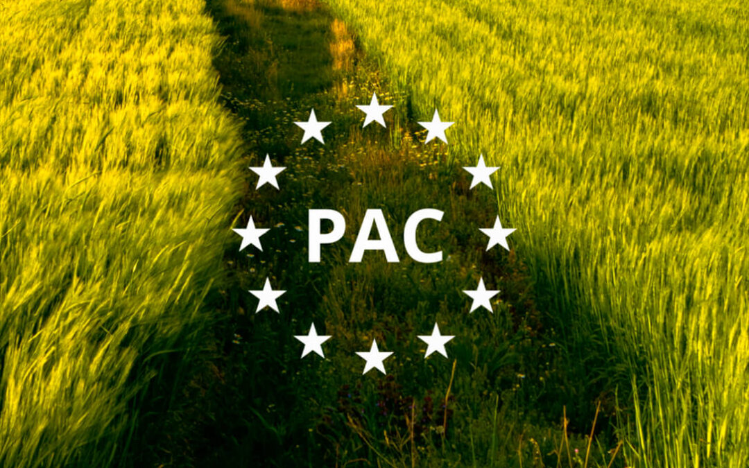 La Comisión Europea gana la primera etapa del maratón de la futura PAC