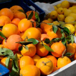 Dcoop adquiere la fábrica de Zumosol en Palma del Río para potenciar la naranja destinada a industria a través de su nueva sección citrícola