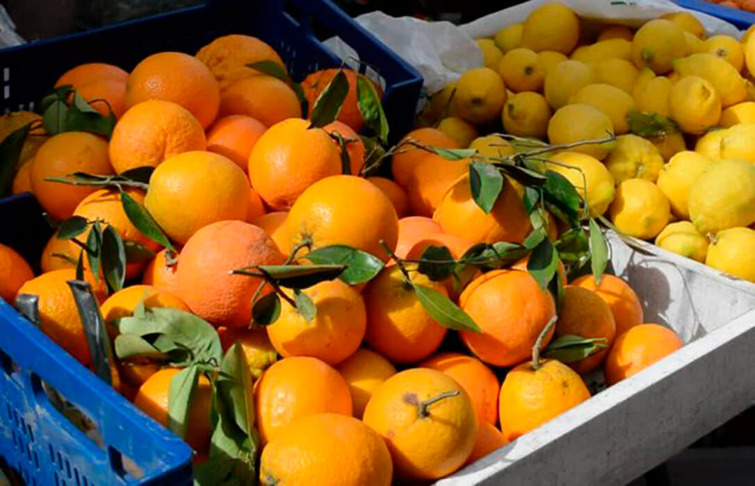 Dcoop adquiere la fábrica de Zumosol en Palma del Río para potenciar la naranja destinada a industria a través de su nueva sección citrícola