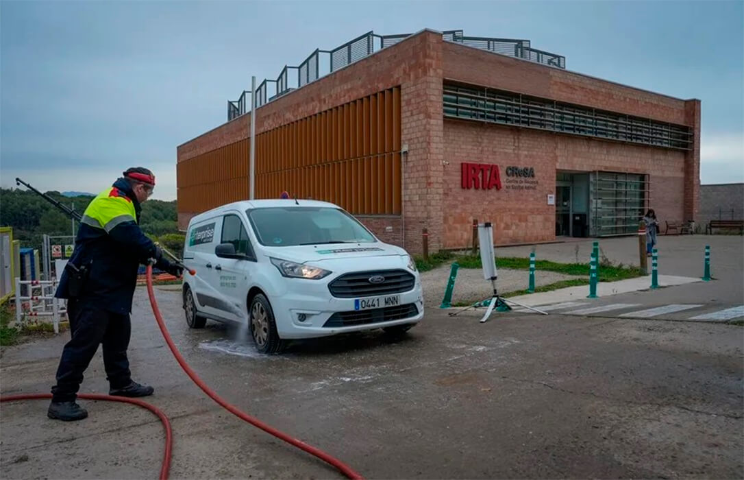 Las hipótesis sobre el origen de la peste porcina: un transporte de animales, un bocadillo de jamón contaminado y ahora de un laboratorio