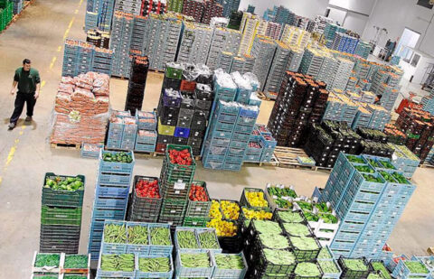 El Parlamento Europeo valida las salvaguardias para proteger a agricultores del pacto UE-Mercosur que vienen rechazando el campo español