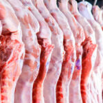 Siete países, entre ellos Argentina y Reino Unido, bloquean nuevas partidas de cerdo español mientras se busca cómo llegó la enfermedad