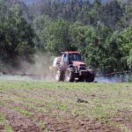 La CE propone que las autorizaciones para el uso de gran parte de los pesticidas dejen de tener fechas límites a la hora de renovarlas