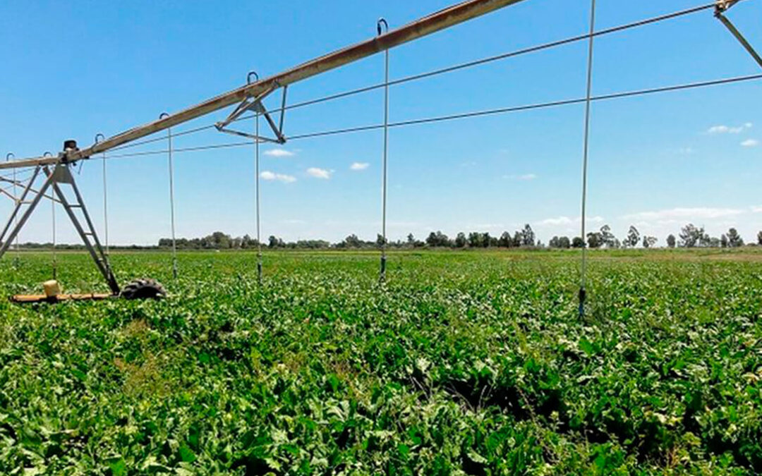 El BOE publica el listado definitivo de las 13 obras del Plan RegadíA que acometerán Gobierno central y la Junta andaluza