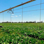 El BOE publica el listado definitivo de las 13 obras del Plan RegadíA que acometerán Gobierno central y la Junta andaluza