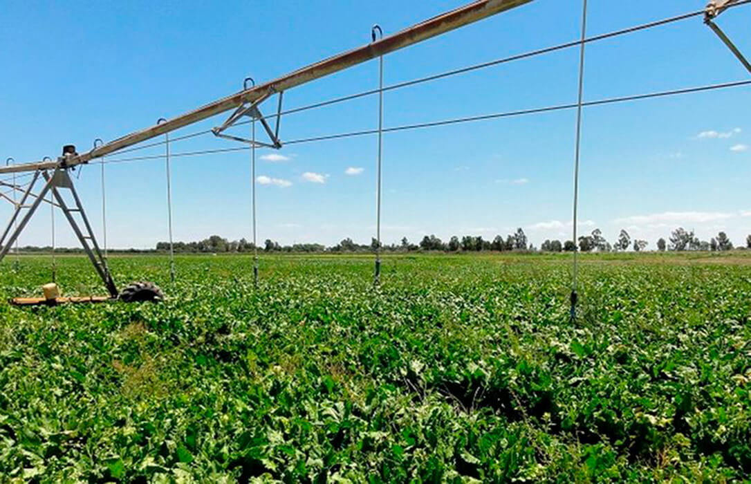 El BOE publica el listado definitivo de las 13 obras del Plan RegadíA que acometerán Gobierno central y la Junta andaluza