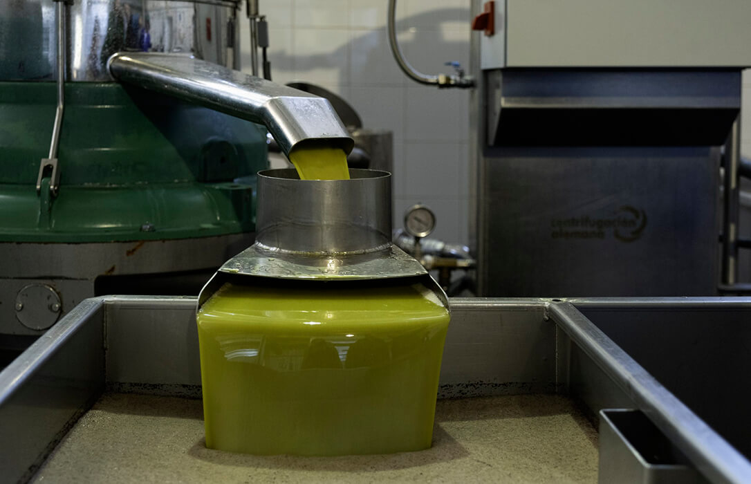 La campaña de aceite arranca con buen ritmo con una producción acumulada de 293.197 toneladas a nivel nacional por debajo del año pasado