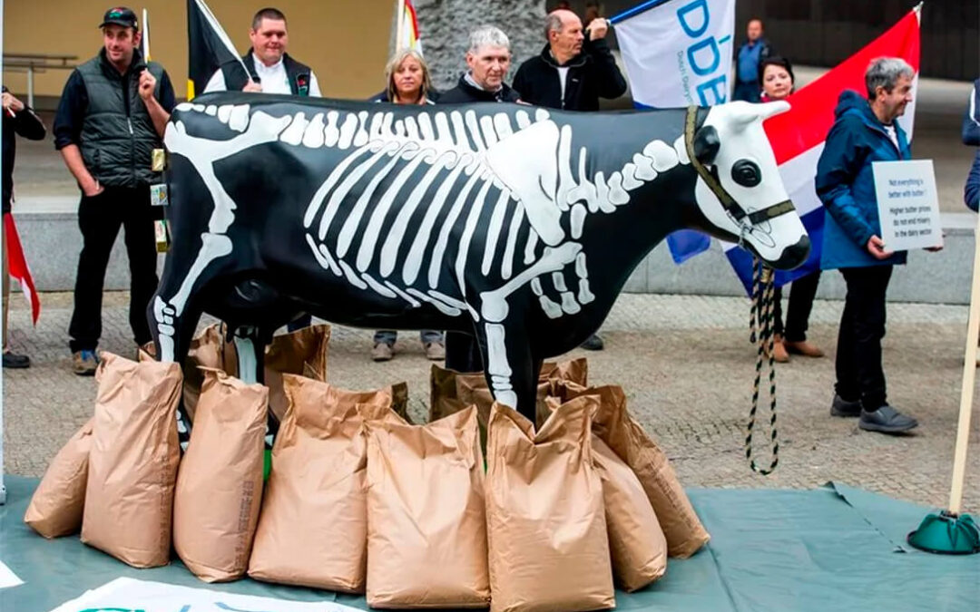 Planas subraya la importancia de fortalecer las políticas agrarias en el Marco Financiero Plurianual para garantizar la seguridad alimentaria europea