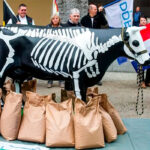 Planas subraya la importancia de fortalecer las políticas agrarias en el Marco Financiero Plurianual para garantizar la seguridad alimentaria europea