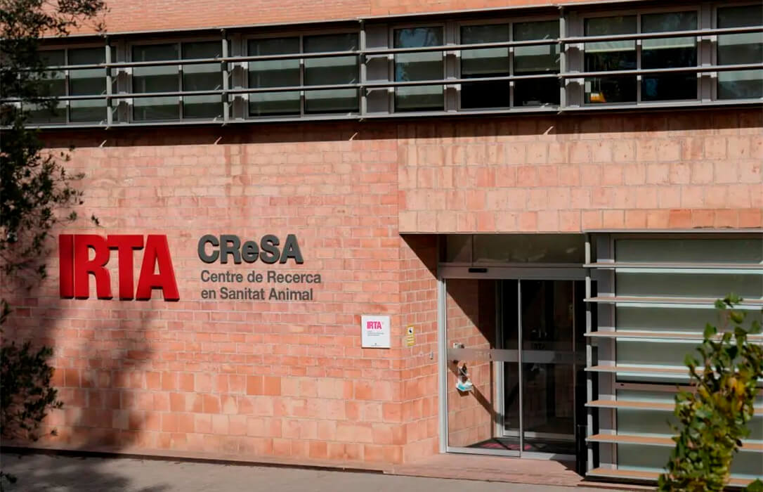 La Generalitat, el Ministerio y la CE aseguran que no hay evidencias de que el brote de peste saliera del laboratorio del IRTA-CReSA