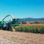 Tranquilidad en las cotizaciones en la lonja de León como es habitual al finalizar el año agrícola y ganadero