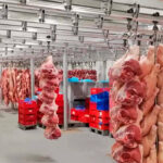 El sector urge un plan de control de la fauna salvaje del jabalí e insisten en un vacío sanitario con ayudas a los ganaderos afectados por la peste