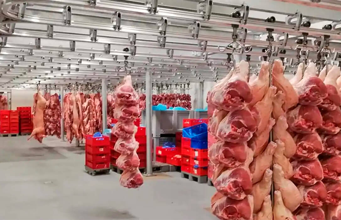 El sector urge un plan de control de la fauna salvaje del jabalí e insisten en un vacío sanitario con ayudas a los ganaderos afectados por la peste