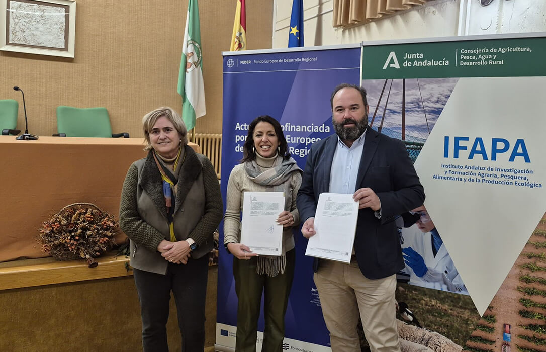 El Ifapa y la Asociación Aire Paisaje firman un convenio para recuperar variedades autóctonas de viñedos en Los Pedroches
