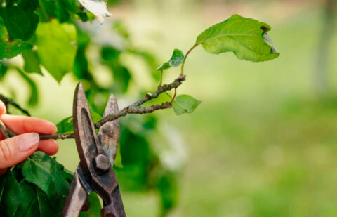 Denuncian que «se han esfumado» 19 millones de euros destinados al campo catalán y no descartan acciones legales si no dan explicaciones