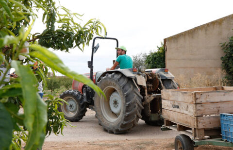 Los agricultores y ganaderos españoles recibieron 3.802 millones de las ayudas directas de la PAC hasta el 31 de diciembre de 2025