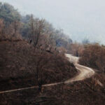 El fuego quemó un total de 354.793 hectáreas en 2025, lo que representan los peores datos de incendios de los últimos 30 años