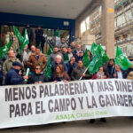 Ganaderos se concentran en Ciudad Real para exigir soluciones urgentes por la lengua azul tras morir ya más de 9.000 cabezas en la provincia