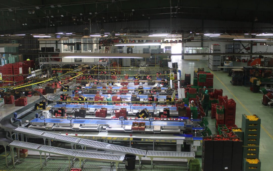 Dos meses de plazo para pedir ayudas de hasta 88 millones de la PAC para la transformación y comercialización de productos agroalimentarios