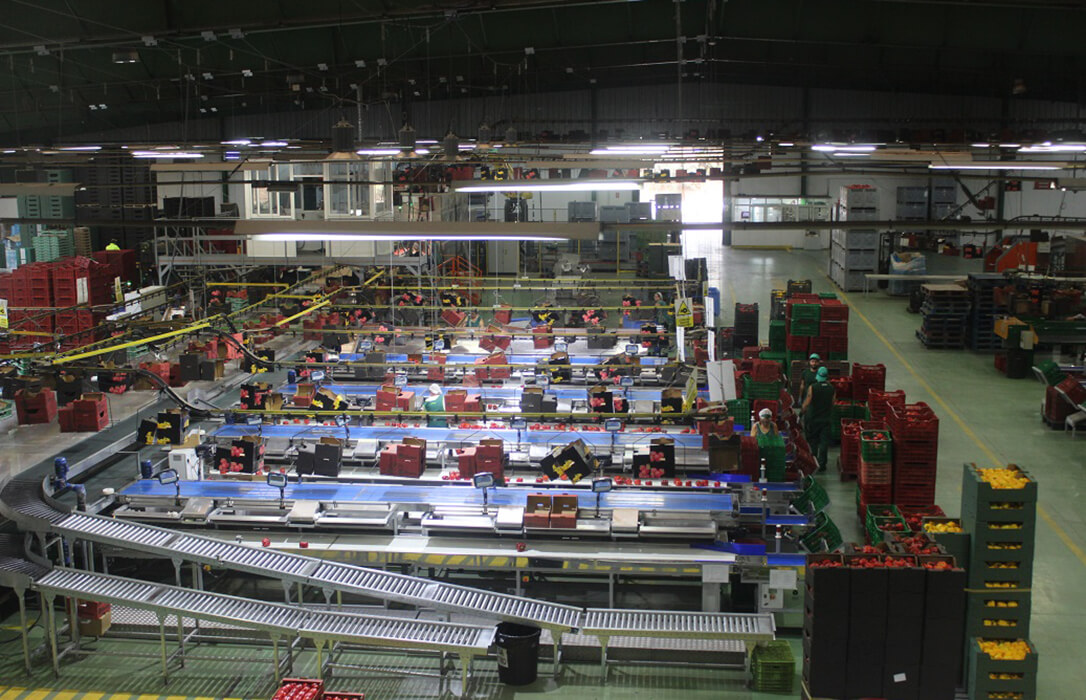 Dos meses de plazo para pedir ayudas de hasta 88 millones de la PAC para la transformación y comercialización de productos agroalimentarios