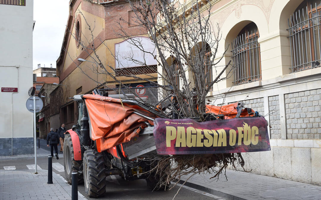 Las otras protestas del campo: los agricultores reclaman en Tarragona las ayudas por los árboles muertos en la sequía de 2024