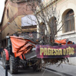 Las otras protestas del campo: los agricultores reclaman en Tarragona las ayudas por los árboles muertos en la sequía de 2024