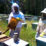 Reclaman que se mantenga la atención presencial para la declaración del censo ganadero ante el riesgo de exclusión y posibles sanciones