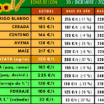 2024-2025, el bienio negro del cereal se salda con bajadas medias del 20% en el precio del cereal y del 56% en los forrajes