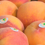 Piden seguir los pasos de Polonia y aprobar una norma que obligue a poner la bandera de origen en el etiquetado de frutas y hortalizas