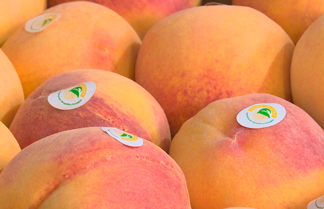 Piden seguir los pasos de Polonia y aprobar una norma que obligue a poner la bandera de origen en el etiquetado de frutas y hortalizas