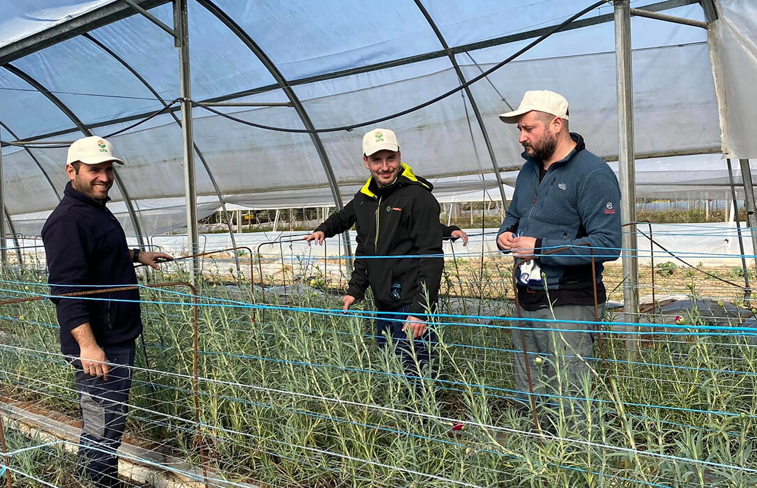 UPA-UCE acogerá a cinco jóvenes agricultores del Programa Cultiva en dos explotaciones modelo ubicadas en Valdelacalzada y Caminomorisco