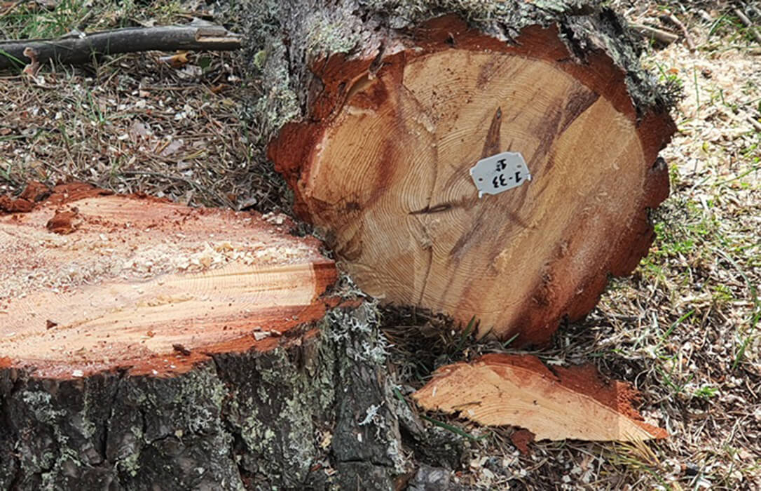 COPADE refuerza su liderazgo como motor del Comercio Justo en España con una nueva apuesta por la comercialización de productos de impacto