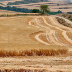 Arranca la campaña de las ayudas de la PAC entre las protestas del campo y con muchas dudas sobre cómo quedará la negociación de sus fondos