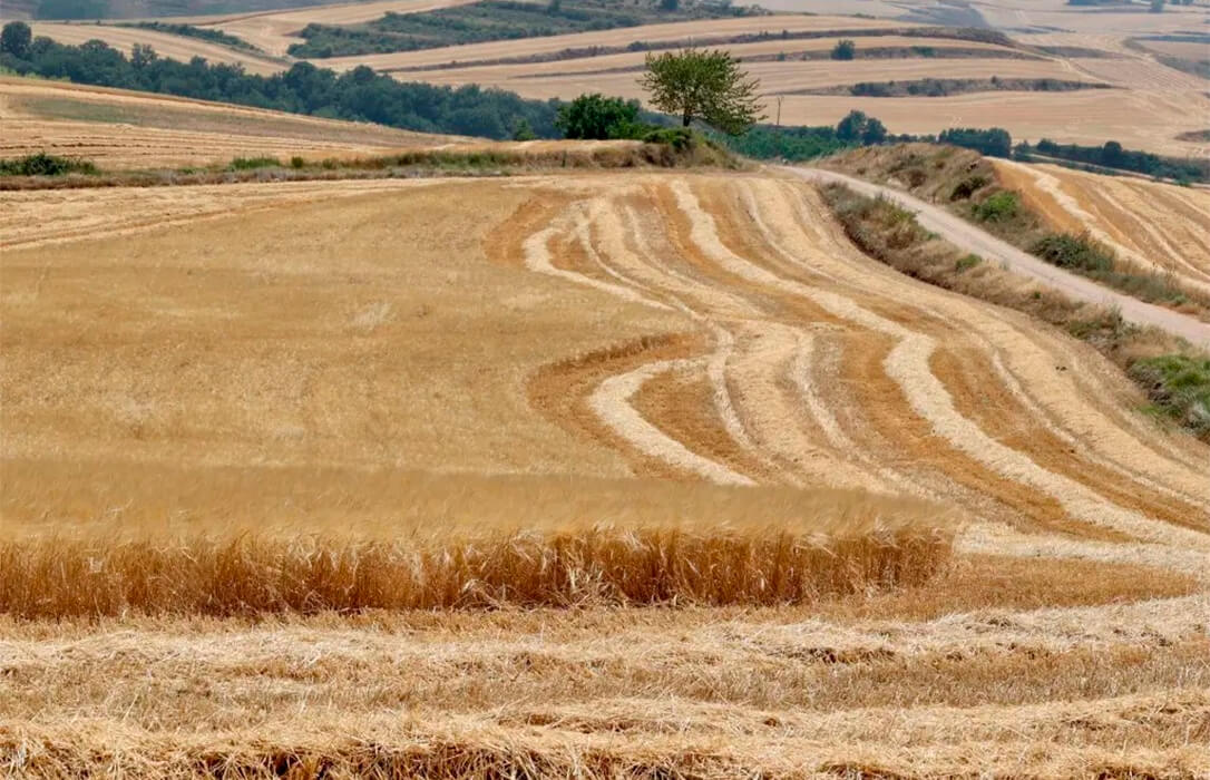 Arranca la campaña de las ayudas de la PAC entre las protestas del campo y con muchas dudas sobre cómo quedará la negociación de sus fondos