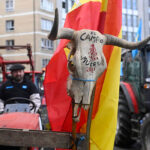 El acuerdo con Mercosur entra en la disputa electoral española y deja al PP con más dudas que certezas ante el miedo a Vox