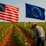 Y ahora se abre otra guerra arancelaria con EEUU: El Parlamento Europeo paraliza el pacto comercial con EEUU tras las amenazas de Trump