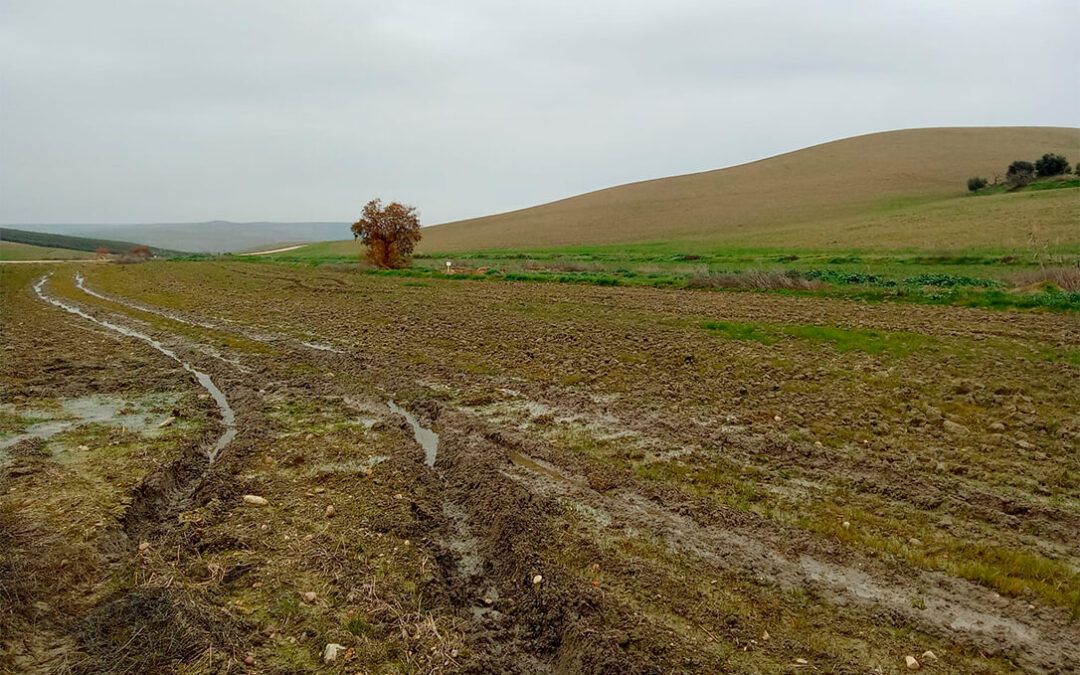 Reclaman flexibilizar la PAC ante la imposibilidad de sembrar debido a las lluvias y evitar que se pierdan 9 millones en ayudas