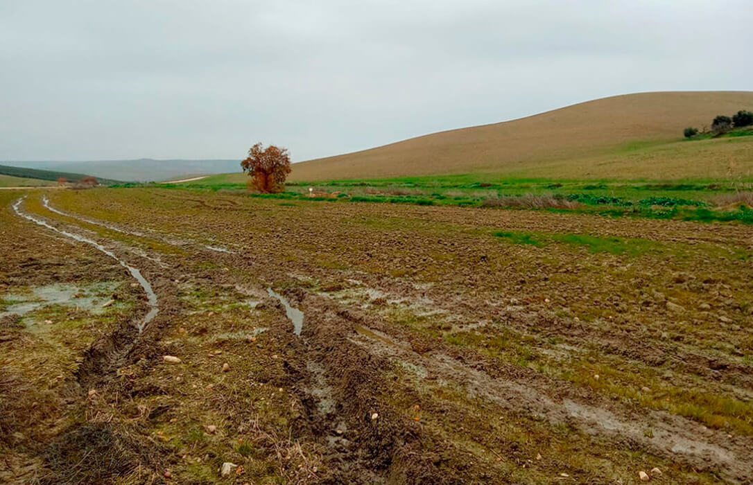 Primer problema de la campaña de la PAC: demandan medidas de flexibilización en este arranque ante las circunstancias meteorológicas adversas