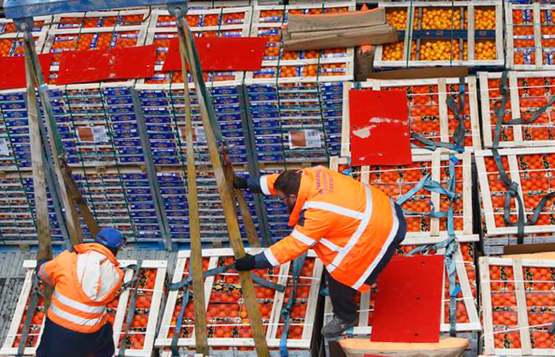 Francia impone sus propias cláusulas espejo: suspenderá la importación de frutas de Sudamérica que contengan sustancias prohibidas en la UE