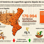 La C. Valenciana deja de cultivar 3.548 hectáreas en 2025 y bate el récord histórico de 180.000 hectáreas abandonadas